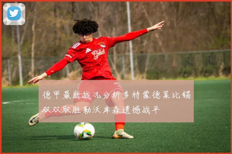 德甲最新战况分析多特蒙德莱比锡双双取胜勒沃库森遗憾战平