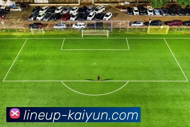 开云官网平台生态图