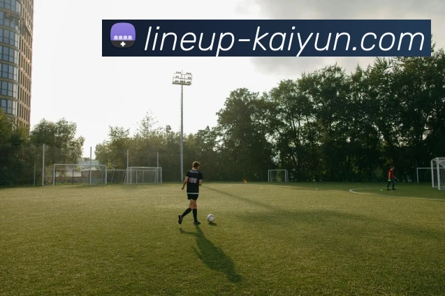 开云官网APP 封面图